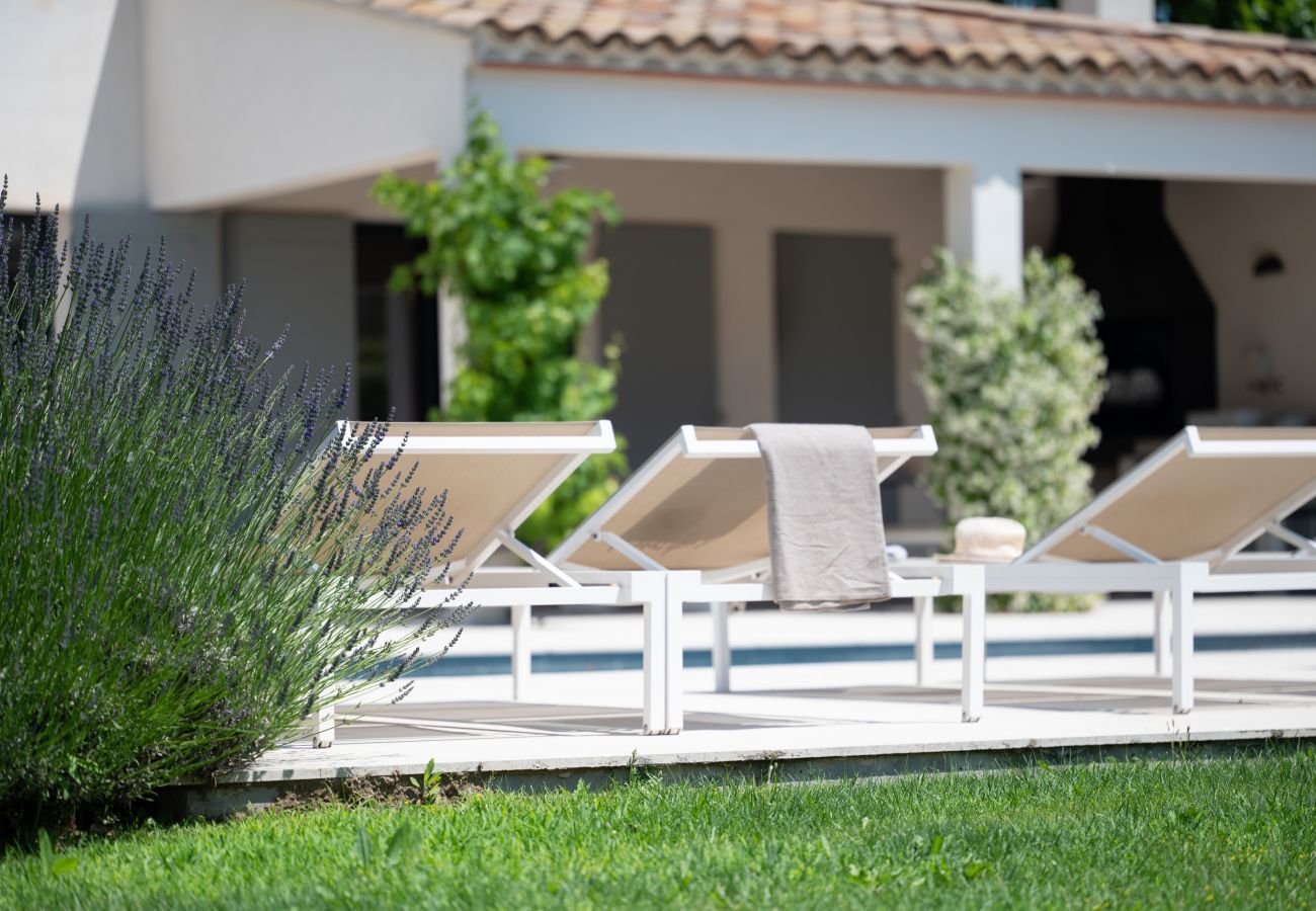 Großer Lavendelstrauch und Sonnenliegen am Pool der Villa Beaumont in Malaucène, Provence.