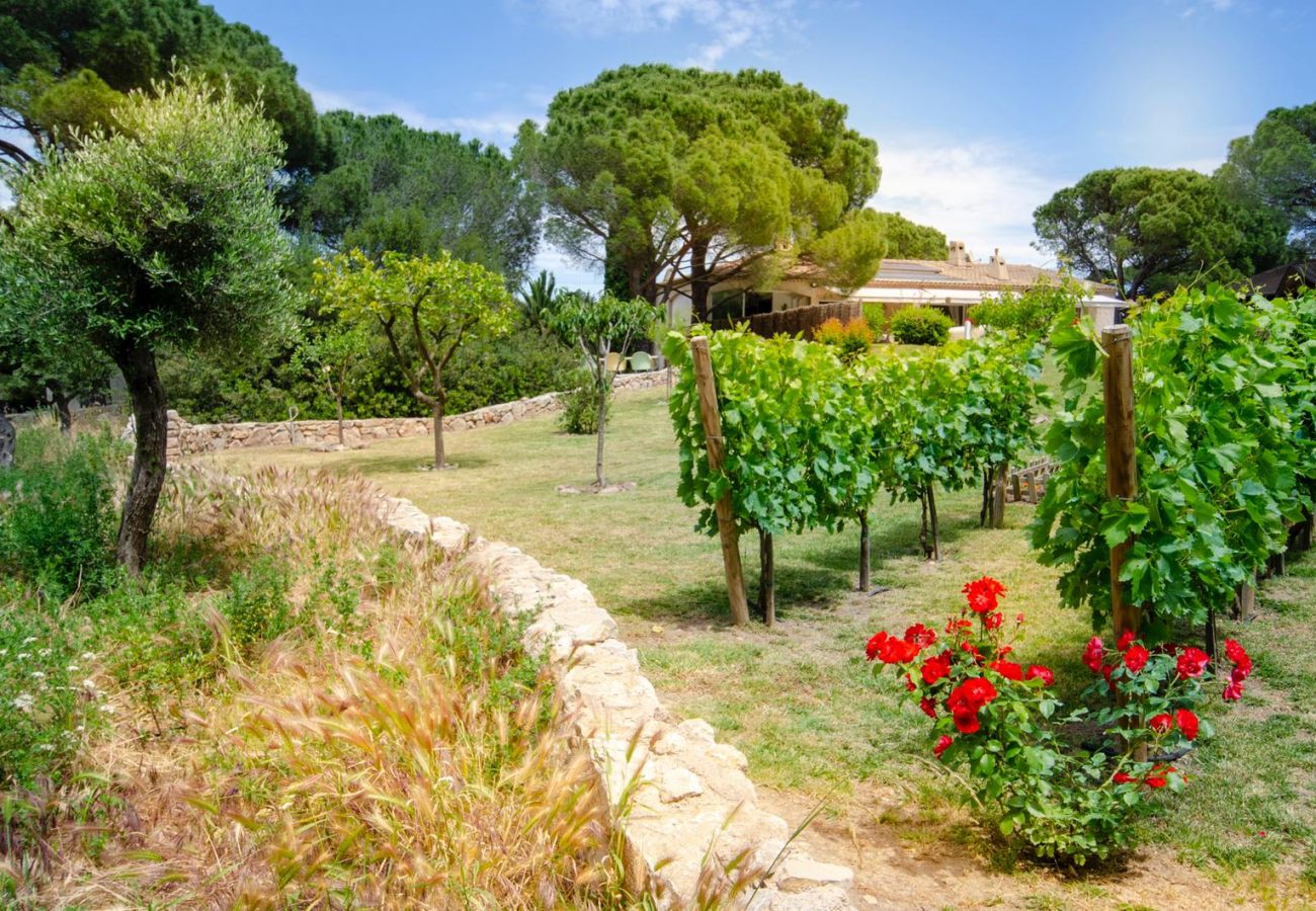 Villa in Roquebrune-sur-Argens - Villa Siena