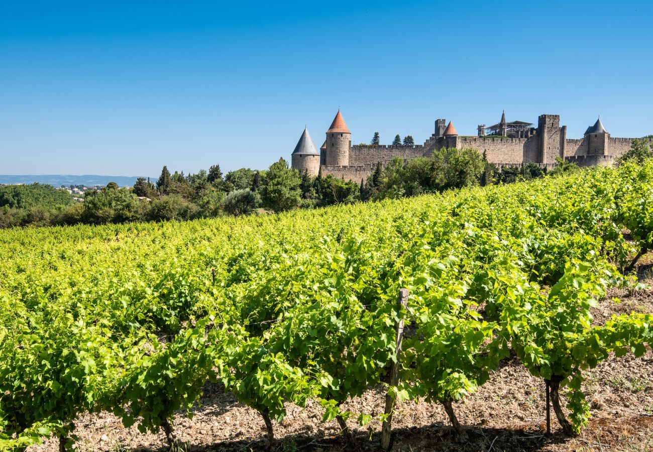 Villa in Carcassonne - Villa Coeur de Vignes