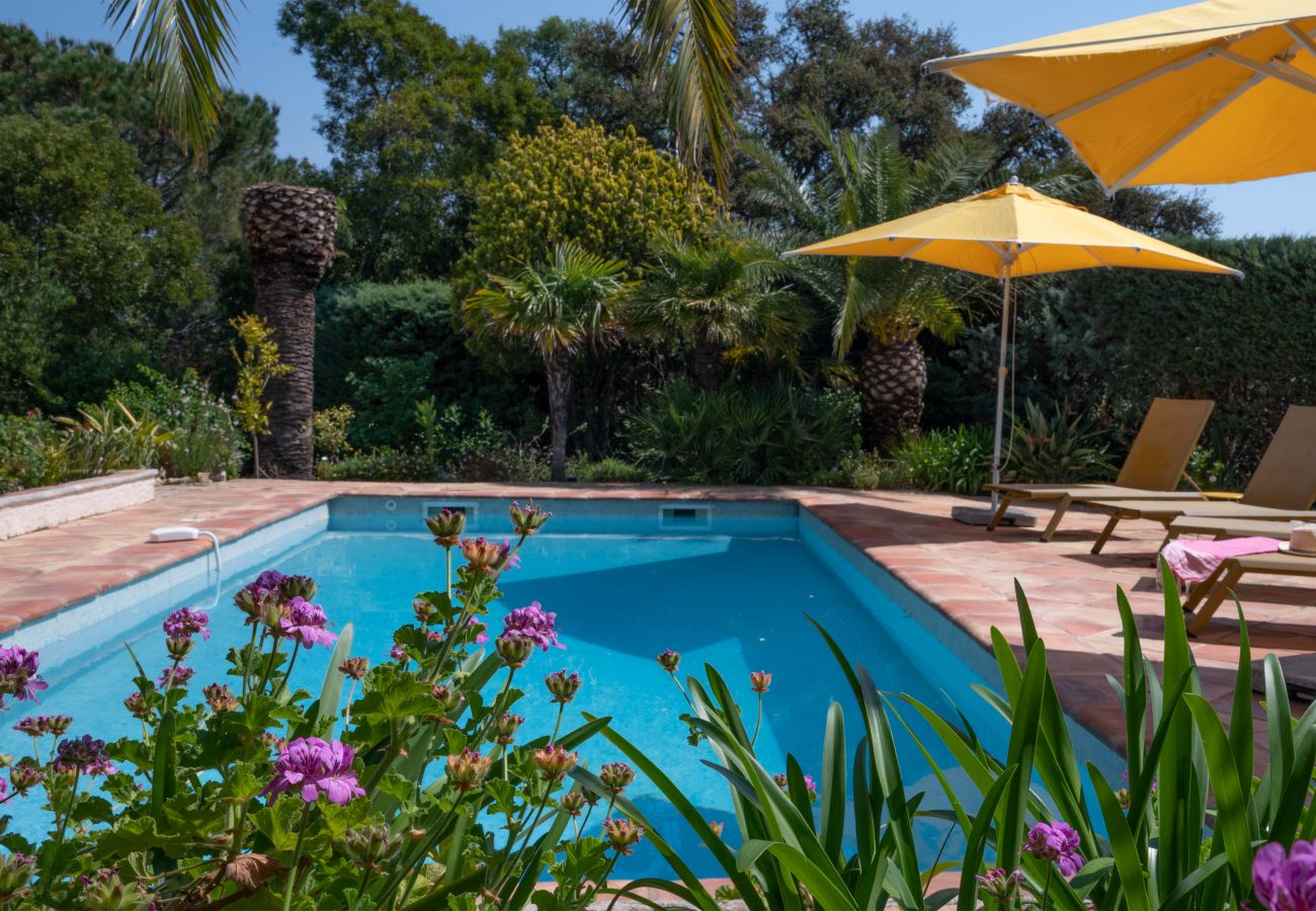 83TEIL, maison de vacances avec piscine, jardin fleuri, 850m de la plage à Sainte-Maxime, Côte d'Azur