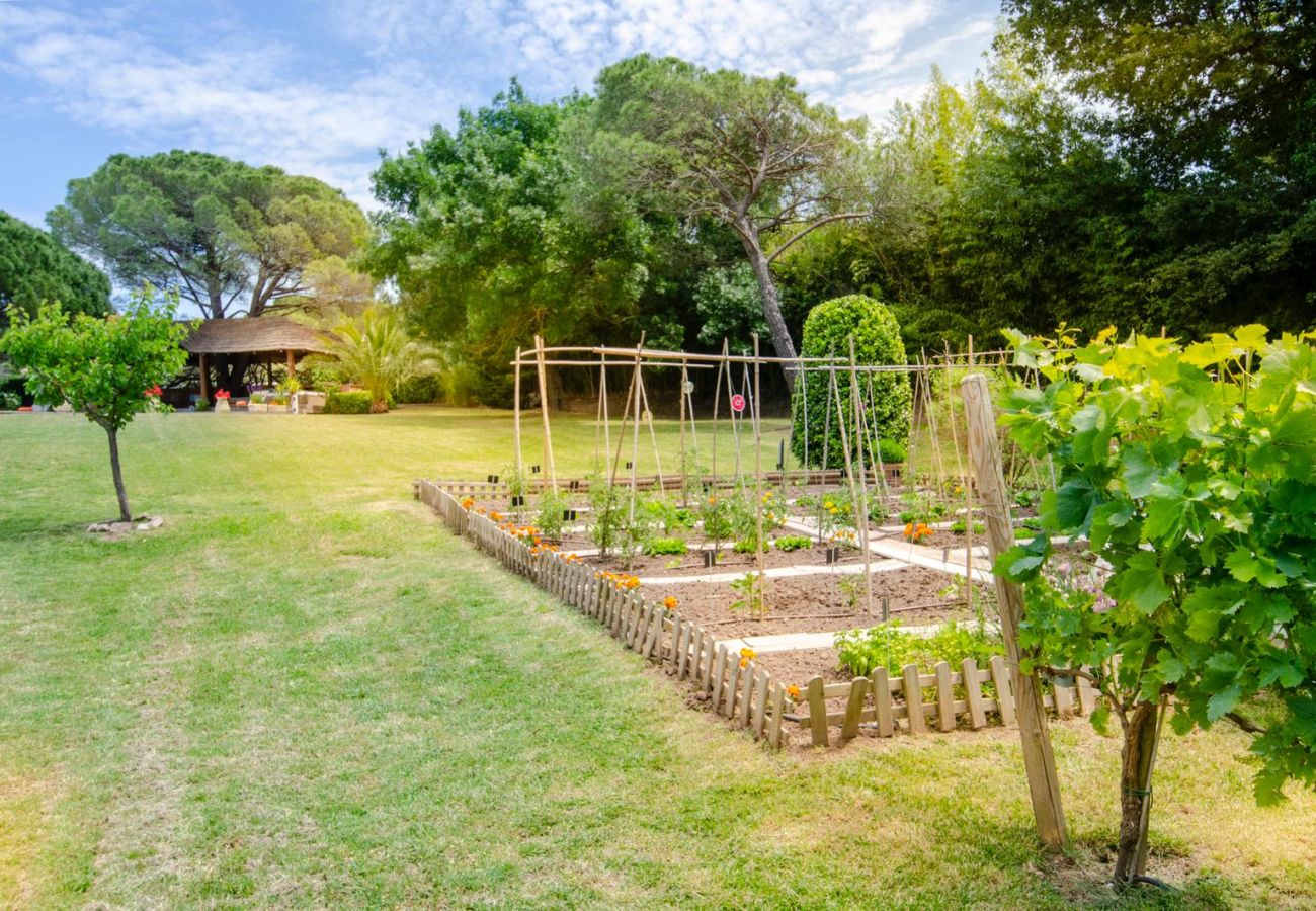 Villa à Roquebrune-sur-Argens - Villa Siena