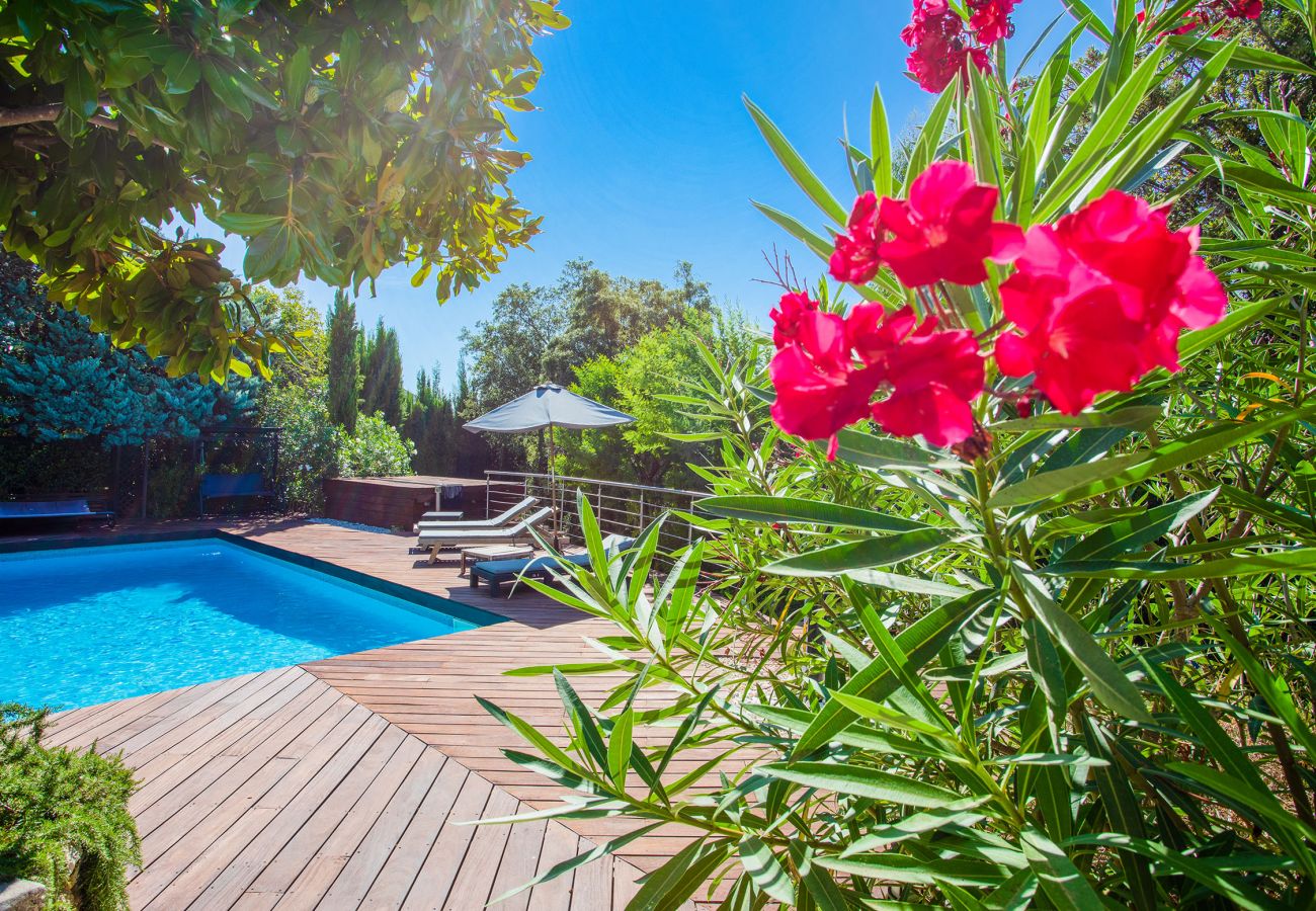 Swimming pool and furnished terrace