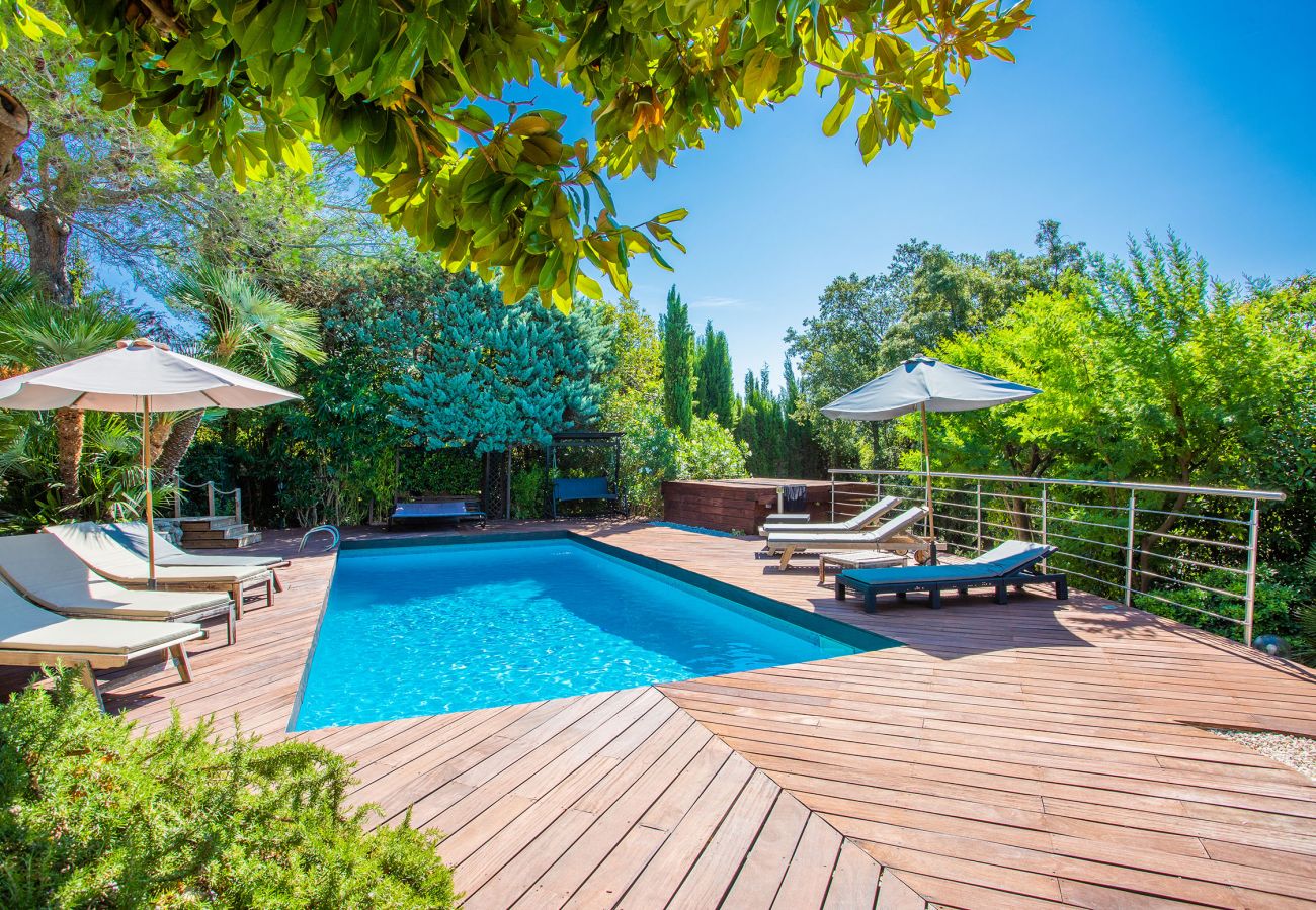 Swimming pool in Mandelieu la Napoule