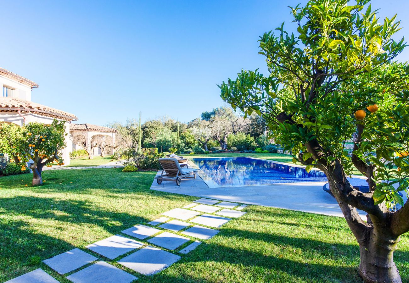 Swimming pool with deckchair